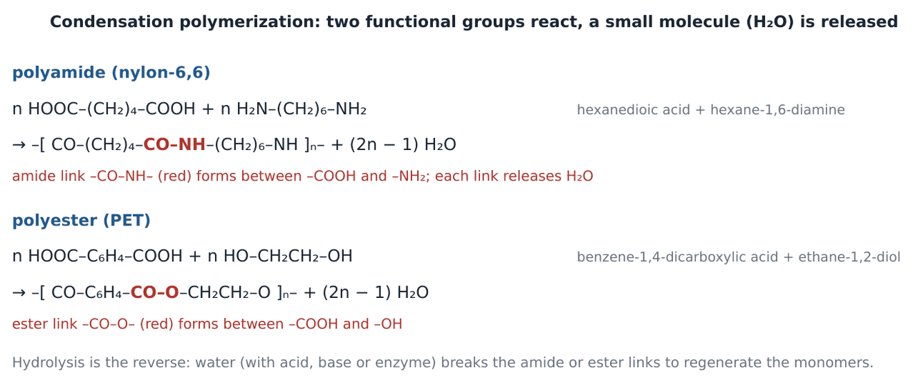 Equations for the formation of nylon-6,6 from hexanedioic acid and hexane-1,6-diamine, and of PET from benzene-1,4-dicarboxylic acid and ethane-1,2-diol, each releasing (2n − 1) water.